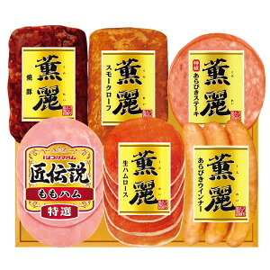 Ε ~Mtg v}n O&`Mtg SD-F  [J[ LTDU / Mtg n ΕMtg 2025 Ε Εp l lߍ킹 Zbg JGS