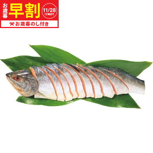 Ε Mtg  kC當EKY nVgؐg(800g)  [J[ LTDU / O ΕMtg 2025 Ε Εp l lߍ킹 Zbg JGS