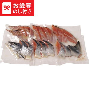 Ε Mtg kCY Vpؐg(1.4kg)  [J[ LTDU / O ΕMtg 2025 Ε Εp l lߍ킹 Zbg JGS