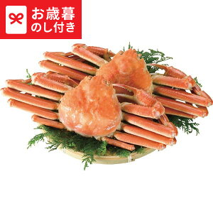 Ε ~Mtg {C킢Ɏp(2t v1kg)  [J[ LTDU / Mtg O ΕMtg 2025 Ε Εp l lߍ킹 Zbg JGS