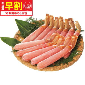 Ε ~Mtg  吶킢ɋr|[V(500g)  [J[ LTDU / Mtg O ΕMtg 2025 Ε Εp l lߍ킹 Zbg JGS