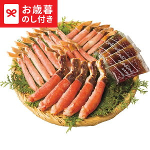 Ε Mtg ΂ɁE킢ɂԂԗpl  [J[ LTDU / O ΕMtg 2025 Ε Εp l lߍ킹 Zbg JGS