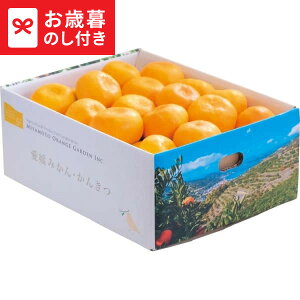 Ε ~Mtg QFaY B݂(3kg)  [J[ LTDU / Mtg O ΕMtg 2025 Ε Εp l lߍ킹 Zbg JGS