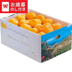 Ε ~Mtg QFaY B݂(5kg)  [J[ LTDU / Mtg O ΕMtg 2025 Ε Εp l lߍ킹 Zbg JGS