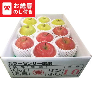 お歳暮 ギフト 青森県産 サンふじ・ぐんま名月(2.5kg) 送料無料 メーカー直送 LTDU / グルメ お歳暮ギフト 2025 御歳暮 お歳暮専用 詰合せ 詰め合わせ セット JGS