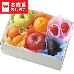 Ε ~Mtg ~̉ʕ6}Xl(12)  [J[ LTDU / Mtg O ΕMtg 2025 Ε Εp l lߍ킹 Zbg JGS