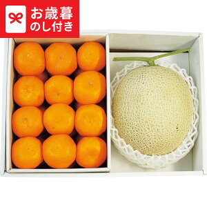 Ε ~Mtg Y}XN1ʁEa̎RY݂  [J[ LTDU / Mtg O ΕMtg 2025 Ε Εp l lߍ킹 Zbg JGS