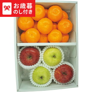 Ε Mtg Lc݂ETӂ񂲁Eт  [J[ LTDU / O ΕMtg 2025 Ε Εp l lߍ킹 Zbg JGS