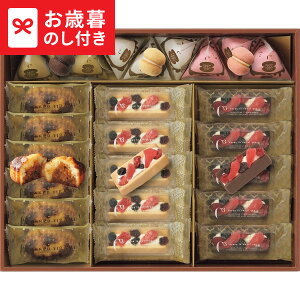 Ε ~Mtg V[L[u tb^A\[gL CAS(FR)-50  [J[ LTDU / Mtg XC[c َq ΕMtg 2025 Ε Εp l lߍ킹 Zbg JGS