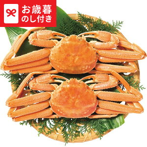 Ε ~Mtg kCY 䥂ŃIIYCKjp  [J[ LTDU / Mtg O ΕMtg 2025 Ε Εp l lߍ킹 Zbg JGS