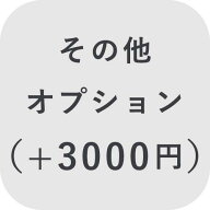 【オプション】その他 ＋3000円【対応商品のみ】※単品購入不可※