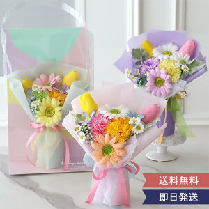 yMtg ԑzXvOzCbv \[vt[u[P | \[vt[ t[u[P Mtg 킢 v[g ̓