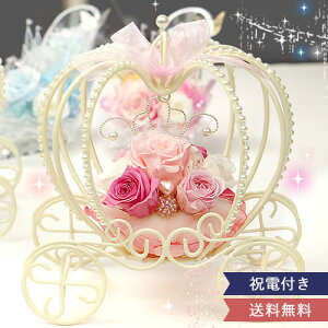  d Mtg vU[uht[ ڂ̔n {k[ j jd t Vf Ђ߂ TVOu[  l킢 񂽂\ J[ht R