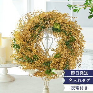 y d MtgzG^[ii`[X-Mimoza- yOK@  \ זɂȂȂ a j jd d v[g@~U hCt[@ԁ@CeA