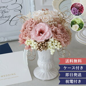yd  MtgzvU[uht[ Magnifique(}jtB[N)@(NAP[Xt)@  d jd vU[uht[  A[g [Y o KN Ԋ P[Xt ȒP 
