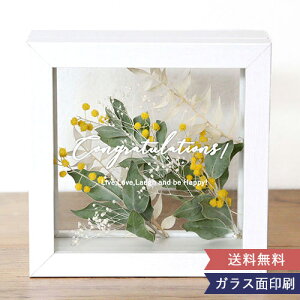 hCt[ t[t[ @x[uMimosav(~U)S CeAt[    Vzj j a zCgf[ ̓  vU[uht[ 