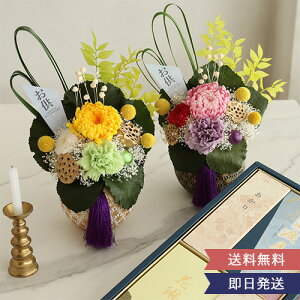 vU[uht[  TZENijԊtƉԗ n 퍁 Zbg |   dp ~ V~ l\  O @ @v   ފ y 