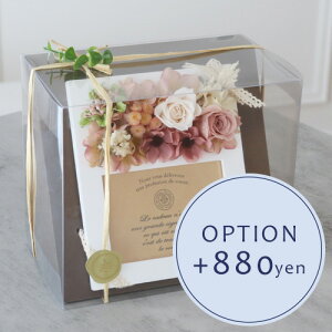 yIvVztHgt[LBOXyΉî݁z@Piws