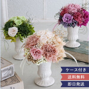 ŒZvU[uht[ Magnifique(}jtB[N)@(NAP[Xt) | j ސEj aj JXj Vzj hV̓ ̓ N ʉ j  o v[g 