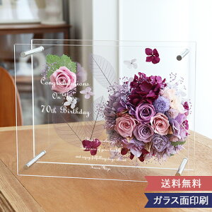 vU[uht[ FionaitBIijPurple p[v   Vzj j hV̓ a ̓ zCgf[  vU[uht[ hCt[ v[g b