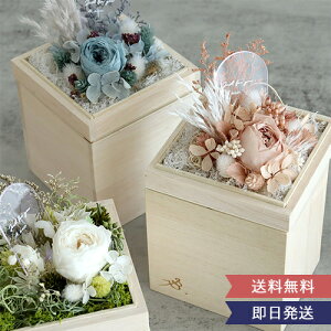 yv[gz vU[uht[ uԁvHako hana@j LÔj JXj Vzj aj ސEj ̓ j   3F VRf AWg 