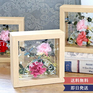 vU[uht[ t[t[S V[}iMERCIMOMj̓AW CeAt[    j a Vzj ̓   v[g b