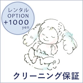 オプション【レンタル】クリーニング保証　記念日　誕生日　ご出産・内祝い　おめでた婚　ウェディングフォト　天使　レンタル　写真　フォト　おしゃれ　送料無料　セット おまけ付き