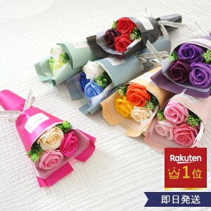 \[vt[ tFA[u[P Iׂ7J[ Ǝ  j a 񎟉 \ ʉ Ӊ j o   v[g Mtg ~ju[P ԑ ̍ 