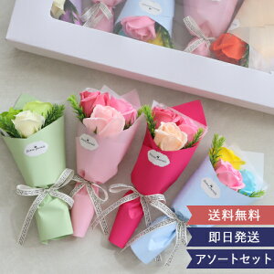 \[vt[ A\[g7F7u[P | Ǝ  j a 񎟉 \ ʉ Ӊ j o   v[g Mtg ~ju[P ԑ ̍ tHgW