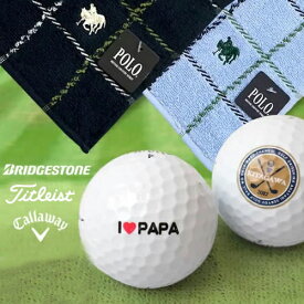 名入れゴルフボール（2個）＆POLOタオルハンカチ ギフトセット| 誕生日プレゼント 名入れ 退職 栄転 長寿 ゴルフ 男性 イラスト お名前印刷 プレゼント お名前入りゴルフ 父の日 敬老の日 ホワイト ギフトセット]10P03Dec16