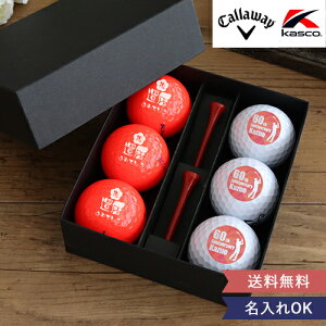 җSt{[i6jTeeZbg [ av[g  ސE h]  St j  CXg O v[g OSt ̓ zCg J[]10P03Dec16