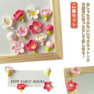 12Zbg }Olbg ~j}Olbg   12Zbg  ① ItBX  ԕ ①Ƀ}Olbg }Olbg  CeA  G Lb` Xe[Vi[  