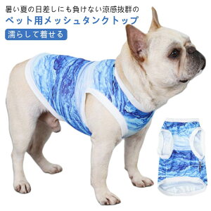 G炵Ē  L  N[ EFA G炷 bV ⊴ Ђ p CM  L ĕ ^ ^Ngbv ybgEFA p Lp xXg N[xXg MǑ΍ ΍ 