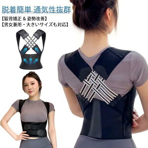 Ci[ Lwxg Y w؋xg  q pT|[^[ 傫TCY Lw   xg pxg LwT|[^[ xg pP fB[X  ڗ