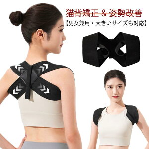 j Y w؋xg  Lw   q Lw q pxg xg w؃T|[^[ Lwxg xg Ci[ 傫TCY  ڗȂ  pP 