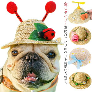 ybgp Xq nbg Lp Xq 悯 UVJbg t p L MǑ΍ ^ O΍   JJX ʐ^Be Xq ăoeh~ 蕨 ^ ^ Ck 