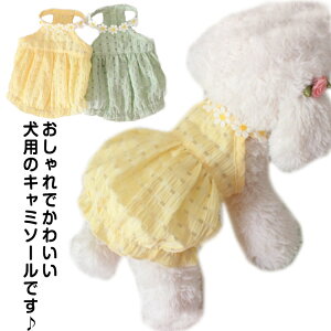 s[X U  ^ ybgEFA L LbgEFA 킢  t hbOEFA  ^ ̕ L~\[  ԕ ʋC  m  o ybgpi 