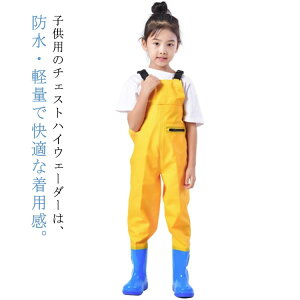 qp  EF[_[ ̎q `FXgnCEF[_[ h tC EF[_[ vCEFA KȒSn Vїp j̎q ϖՐ ꒅ Cpc qp u[ct V