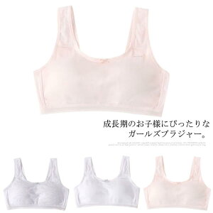 WjAu 2Zbg  ̎q mC[ X|[cu Ci[u t@[Xgu bV WjACi[ LbYCi[ LbY WjA w w  V