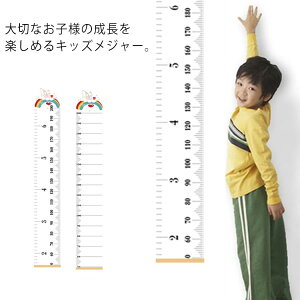 gv Ǌ| LbYW[ ڐ h g L^ ϋv ϐ g50cm200cm܂Ōv\ ܂肽ݎ CeA q oYj S2