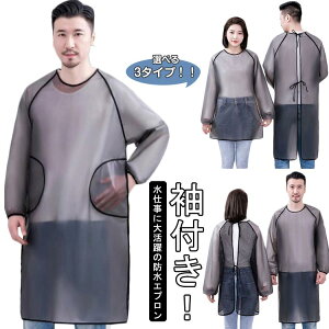 Gv m   |Pbg ۈm ̌^Jo[   rj[ h ʋC t JWA B Vv Ɩp et Xg  ~[ ԉ YH g}