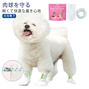 ̌C 100Zbg 100Zbg _炩 ĝ 25 hbOu[c sDz C pC h U ̃V[Y ho ybgC ی ی h~ Jo[ ĝău[c 