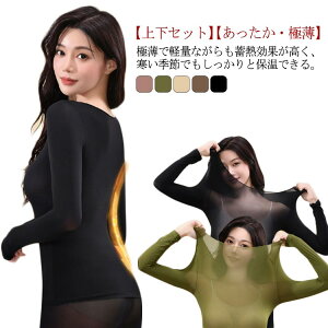 Ci[ fB[X ㉺Zbg@Ci[Vc XgbLOCi[ h  M ێ Ci[   L [ ubN  x[W 傫TCY  y g