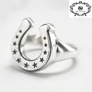 ANAVo[ AQUA SILVER O w z[XV[in`jx X^[`[t Vo[925 ASR-200F