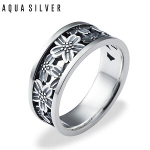 ANAVo[ AQUA SILVER O w Vo[925 ASR-246F