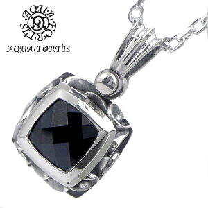 ANAVo[ AQUA SILVER y_g/lbNX Vo[925/ubNWRjA ANAtHeBX AQUA FORTIS FP-018F/BZ