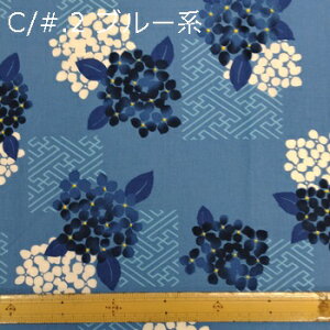 y 100% V[`O avgn  5F z2(1m)ȏA50cmPʔ̔i