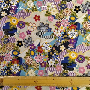 y 100% V[`O avgn A 5F z2(1m)ȏA50cmPʔ̔i