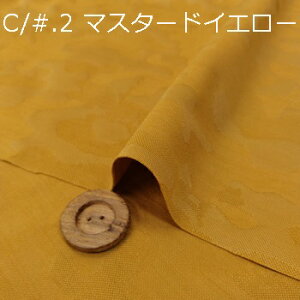 y|GXe WJ[hjbgn ʕ 5F z2(1m)ȏA50cmPʔ̔i