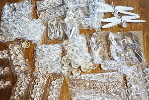 o^Cf[̏@܁@1Kg2~ʁ@I[igNX^AN@nChCh